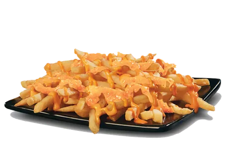 Cheese Fries