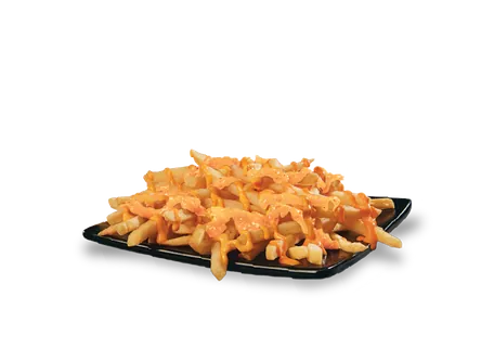 Cheesy Fries Cheesy Fries