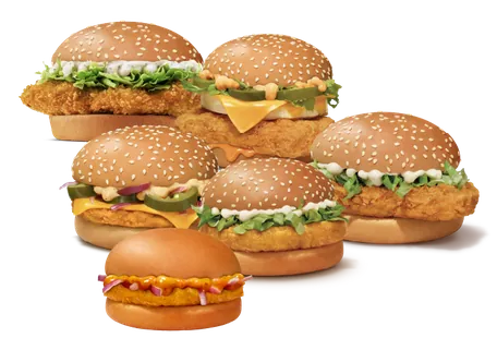 Big Group Party Combo for 6 Non- Veg